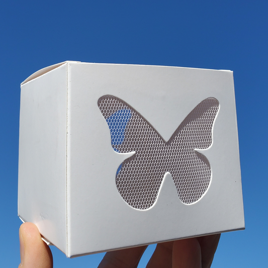 12 Painted Lady Butterflies in an Elegant White Release Box ~ Please read IMPORTANT INFO BELOW before placing an order.